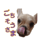 愛犬ごんたのスタンプ（個別スタンプ：8）