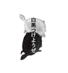 カメスタ（個別スタンプ：4）