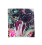 サビ猫☆チコ（個別スタンプ：2）