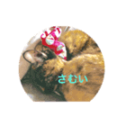 サビ猫☆チコ（個別スタンプ：3）