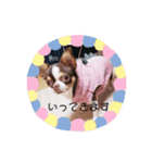 イヴのかぶりもので日常言葉@ivu（個別スタンプ：4）
