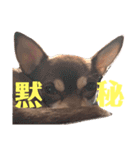 げタンプ_1（個別スタンプ：8）