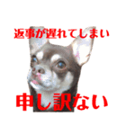 げタンプ_1（個別スタンプ：12）