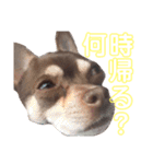 げタンプ_1（個別スタンプ：14）