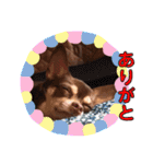 げタンプ_1（個別スタンプ：16）