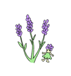 身近な花々とその妖精たち（個別スタンプ：5）