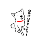 もっふもふチロ（個別スタンプ：5）
