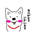 もっふもふチロ（個別スタンプ：24）