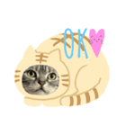 メリスタンプ(猫)（個別スタンプ：1）