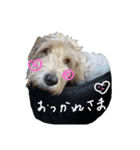 日向のひなちゃん（個別スタンプ：9）