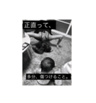 DJいまりの名言スタンプ（個別スタンプ：5）