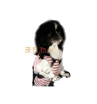 はなぺちゃ はなちゃん。（個別スタンプ：4）
