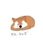 ゆるいワンコたち（個別スタンプ：16）