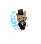 アメショー親子（個別スタンプ：22）