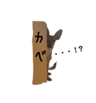 チワピン クラさん（個別スタンプ：9）