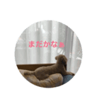 MOCOくん（個別スタンプ：3）