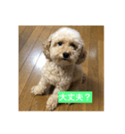 MOCOくん（個別スタンプ：4）