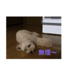 MOCOくん（個別スタンプ：7）