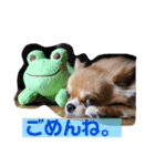 溺愛ペットまめ（個別スタンプ：2）