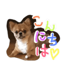 溺愛ペットまめ（個別スタンプ：8）