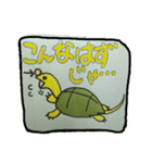 亀のももさん（個別スタンプ：6）