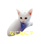 うちのゆかいな仲間たち 2（個別スタンプ：13）