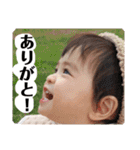 まいにち使うスタンプ2（個別スタンプ：40）