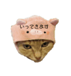 我が家の猫様②きぐるみ萌え（個別スタンプ：9）