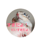 シマリスのくるる（個別スタンプ：8）