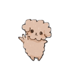 トイプードルのまりーちゃん（個別スタンプ：2）