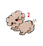 トイプードルのまりーちゃん（個別スタンプ：26）