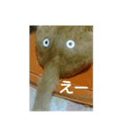 猫が色々しゃべります（個別スタンプ：4）
