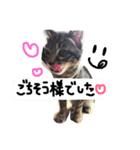 komugi0920（個別スタンプ：2）
