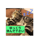 komugi0920（個別スタンプ：4）