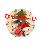 クリスマスのめきゅるきゅる（個別スタンプ：2）
