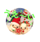 クリスマスのめきゅるきゅる（個別スタンプ：12）