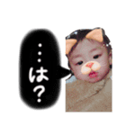 SYU stamp ✳︎（個別スタンプ：9）