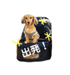 ベルちゃんスタンプだよ（個別スタンプ：32）