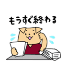 医師いぬちゃんのスタンプ その2（個別スタンプ：11）