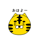 しまトラのトラガーくん（個別スタンプ：1）
