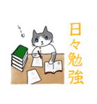 にゃんこPT（個別スタンプ：5）