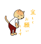 にゃんこPT（個別スタンプ：11）