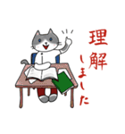 にゃんこPT（個別スタンプ：14）