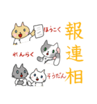 にゃんこPT（個別スタンプ：20）