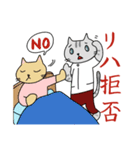 にゃんこPT（個別スタンプ：24）