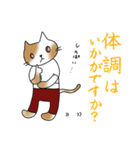 にゃんこPT（個別スタンプ：30）