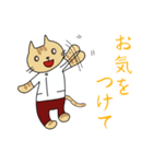 にゃんこPT（個別スタンプ：34）