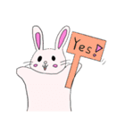うさぎ1日常で使えそうなスタンプ（個別スタンプ：4）