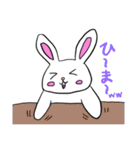 うさぎ1日常で使えそうなスタンプ（個別スタンプ：11）