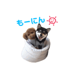 うたあおちゃん（個別スタンプ：2）